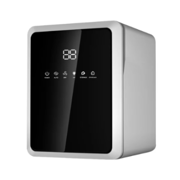 b1